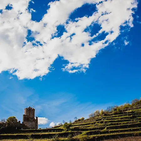 Gite Le 1531 Kaysersberg-Vignoble Exterior photo