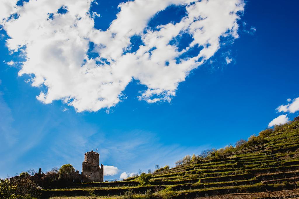 Vakantiehuis Le 1531 Kaysersberg-Vignoble